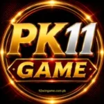 PK11 Game